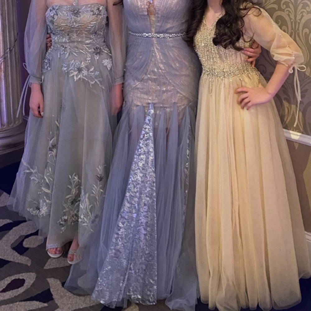 Tarik Ediz 96043 Illusion Long Sleeve Lace Bodice Tulle Mermaid Gown - Picture 5 of 12